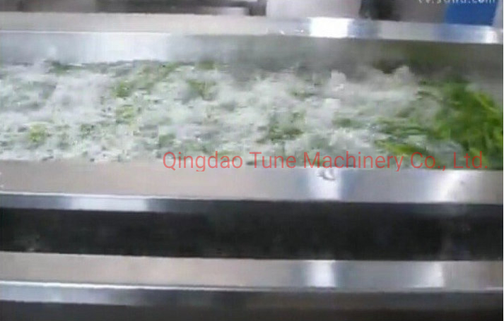 Potato French Fries Blanching Cooking Machine / Vegetable Blanching Machine