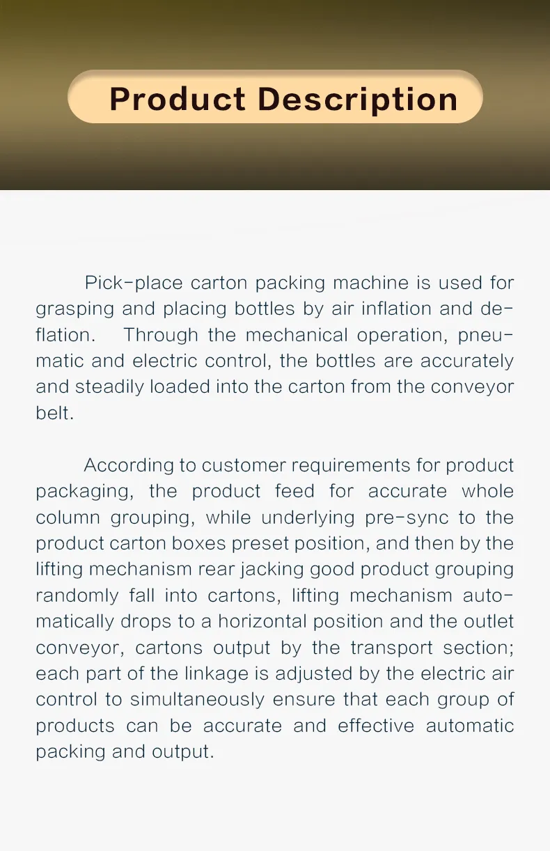 Case Packing System 2