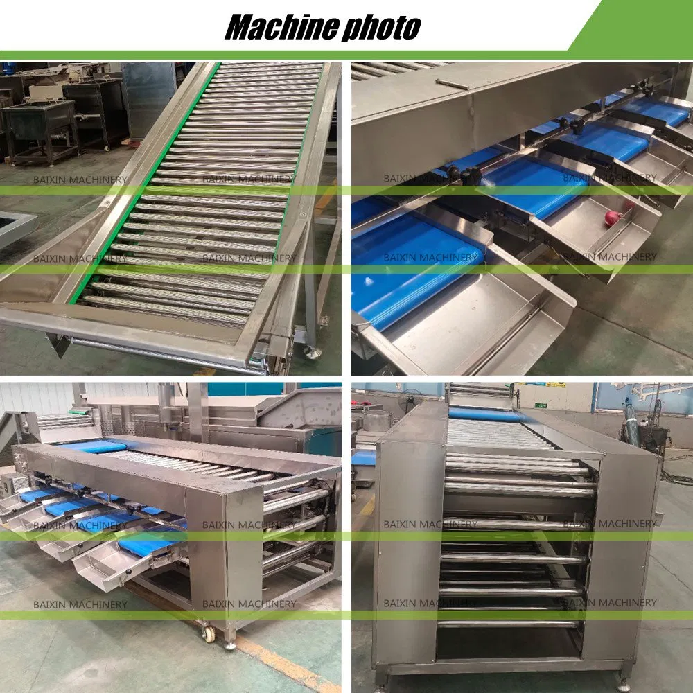 Automated Kohlrabi Peeling Machine for Pickling and Fermentation