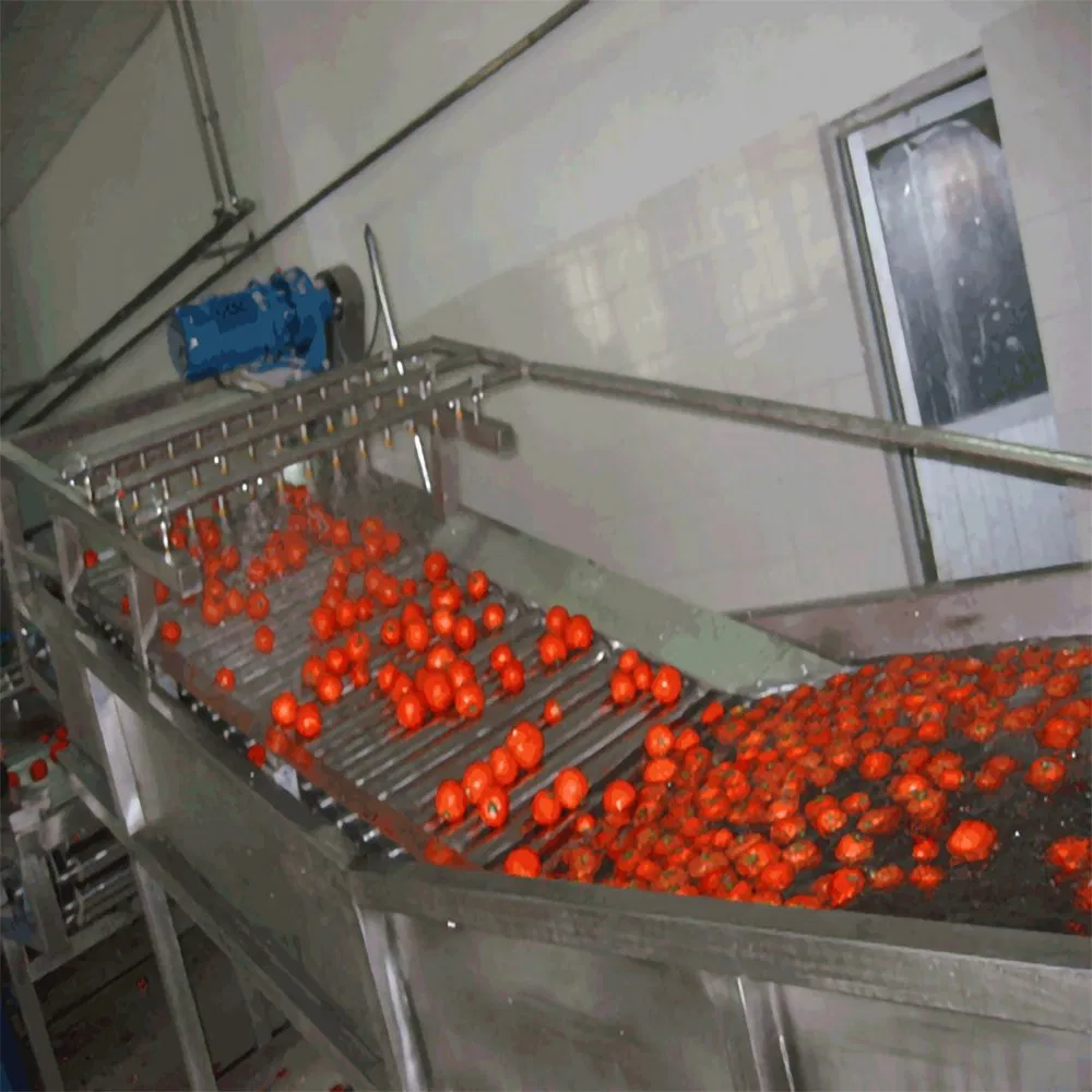 Spray Washers/Fruits and Vegetables Cleaning System