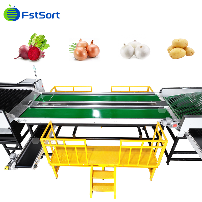 Sorting and Grading of Fruits and Vegetables, Automatic Potato Sorting and Packing System, Onion Sorting Automation