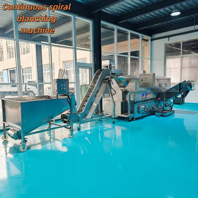 Blanching Machine