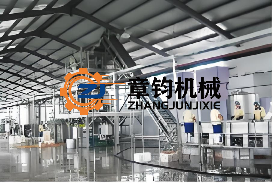 Advanced Fruit and Vegetable Washing and Drying Line System