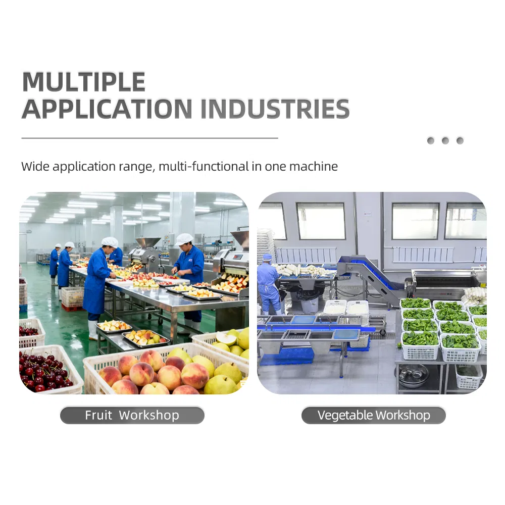 Root Vegetable and Fruit Brush Roller De-Mud and Peeling Cleaning Machine Is Suitable for Central Kitchen Factories and Can Automatically Discharge