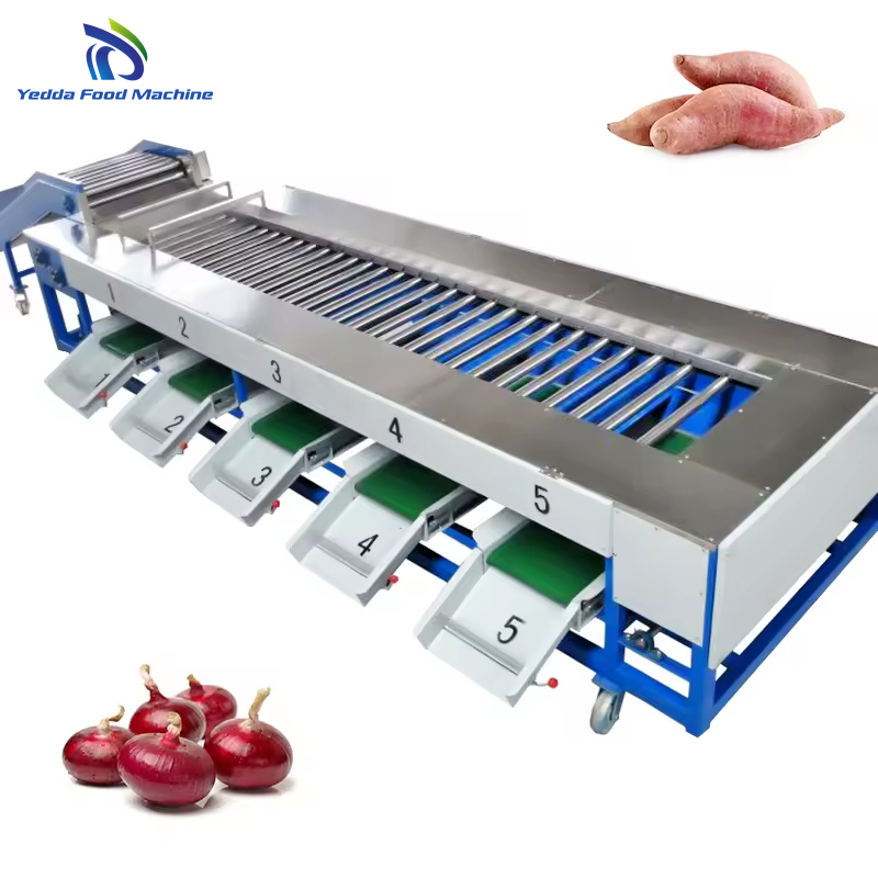 Advanced Automatic Potato and Onion Sorting System for Efficient Processing