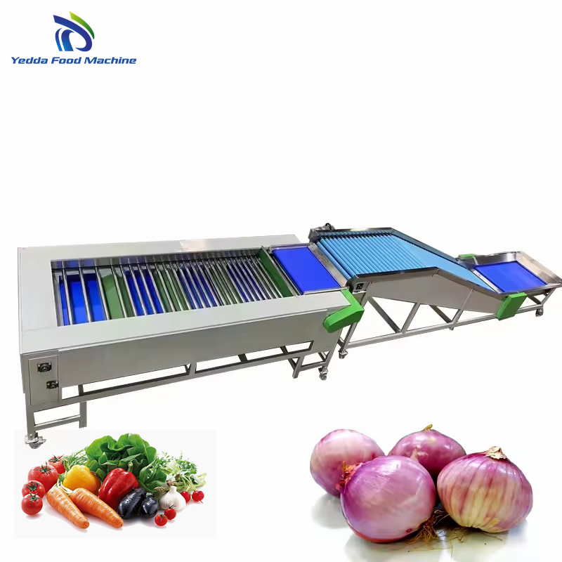 Premium Stainless Steel Produce Grading System for Quality Control
