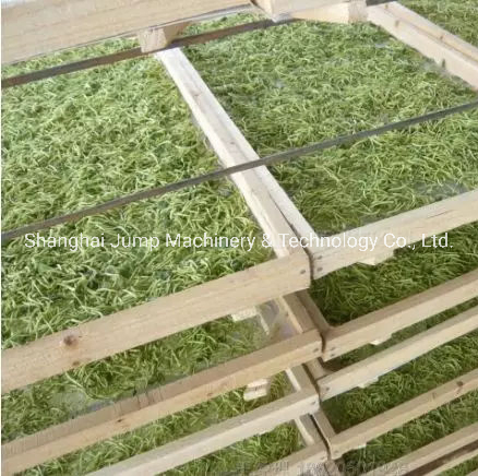 Modern Pickled Cucumber Processing Line Hygiene Fermentation and Bottling Machines