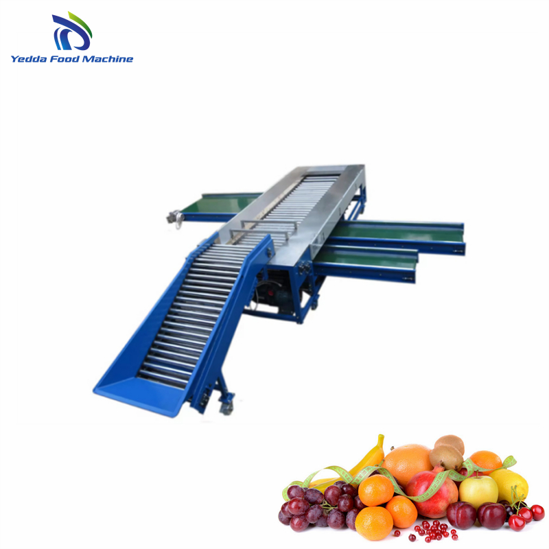 Premium Stainless Steel Produce Sorting System for Efficient Sorting