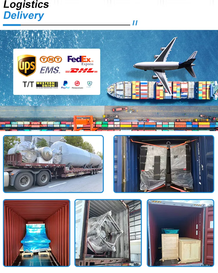 Egg Processing System 6