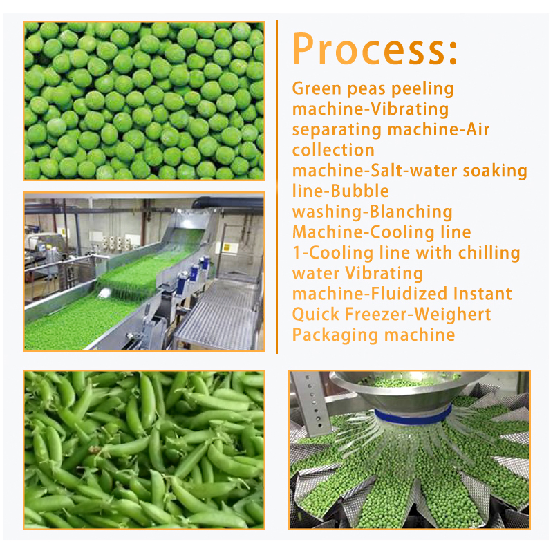 Carrots Tomatoes Automatic Frozen Vegetable and IQF Fruit Washing Cutting Dehydrating Processing Production Quick Freezing Line