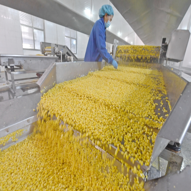 Factory Direct Supply Canned Corn Production Line Fresh Corn Peeling Threshing Freezing Machine