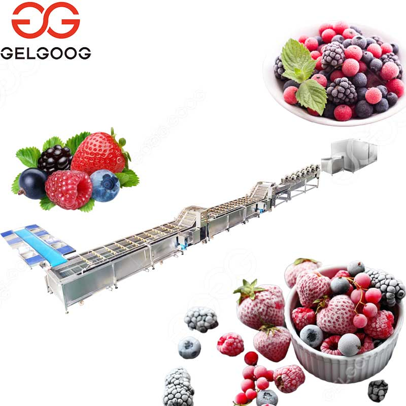 IQF Food Processing Machine IQF Frozen Strawberry Vegetable Fruit Freezing Processing Machine Frozen Fruit and Vegetable Production Line