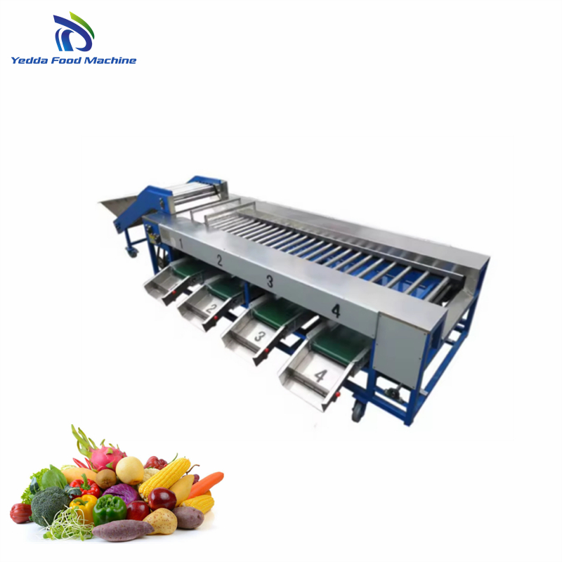 Premium Stainless Steel Produce Grading System for Quality Control