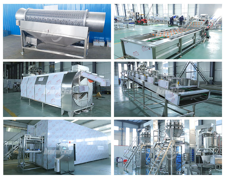 Automatic Frozen Green Pea Processing Line IQF Freezer Quick Freezing Machine Vegetable Freezing Production Line