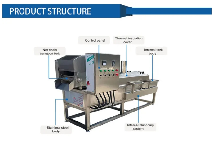 Commercial Steam Gas Electric Continuous Fruit Vegetable Meat Cooking Blancher Blanching Machine