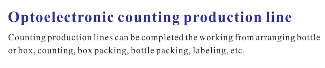 Counting System Detail 1