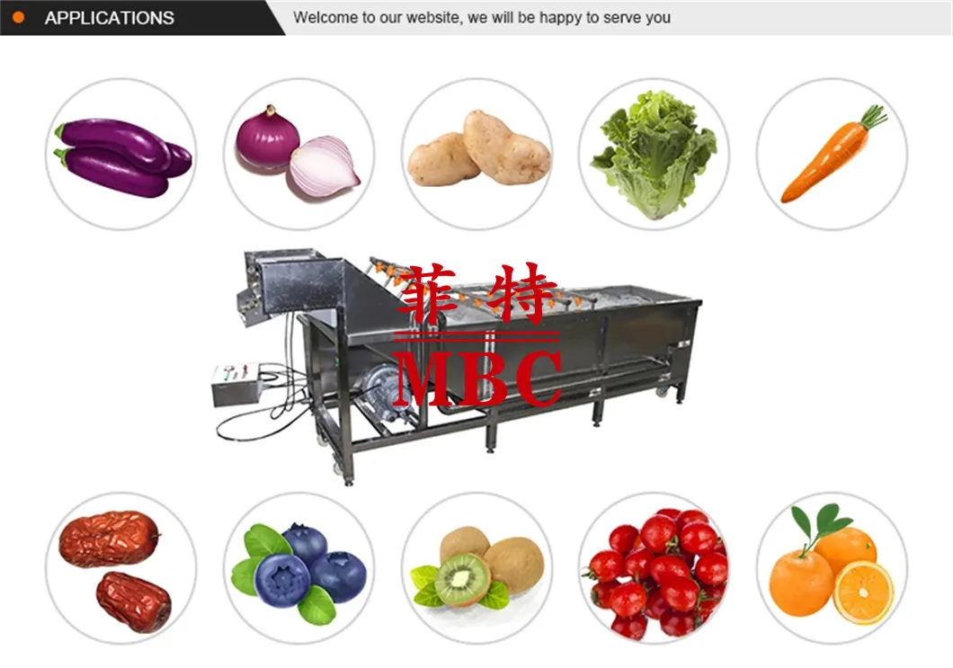 Vegetable and Fruit Washing Line