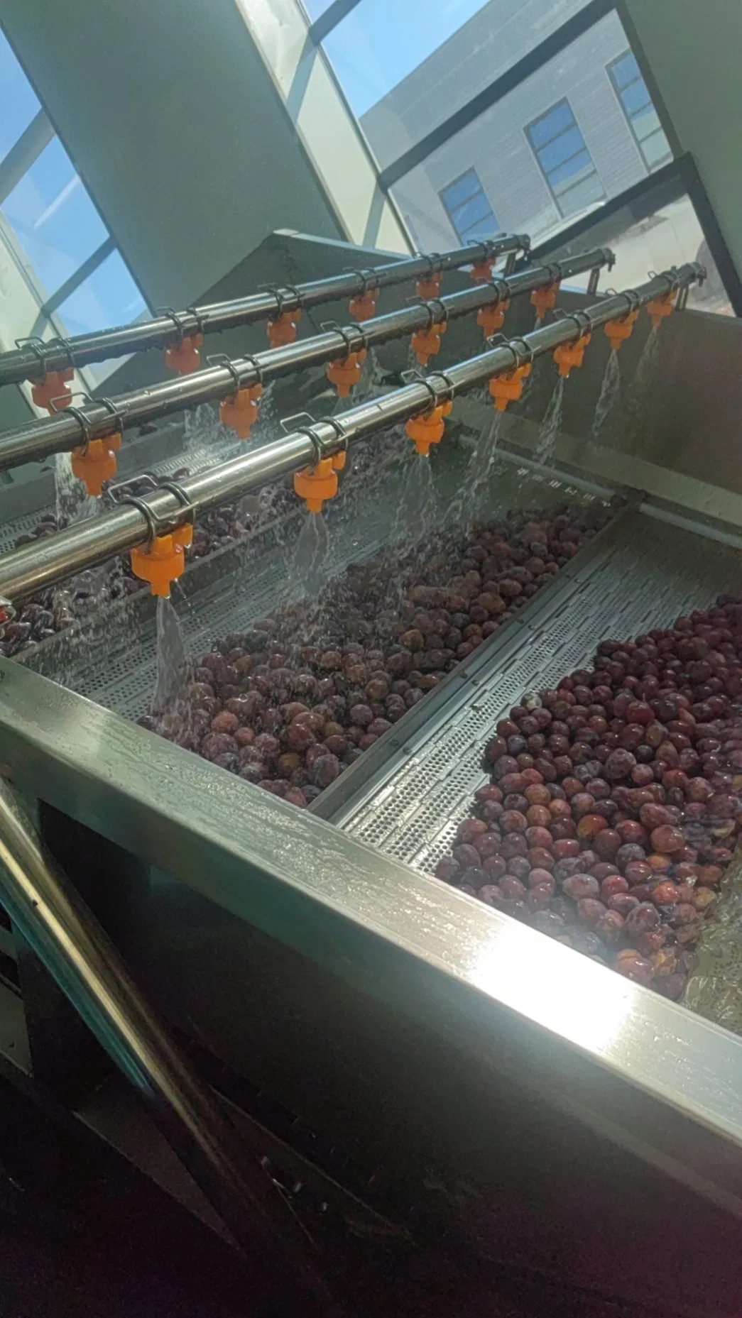 Rotary Drum Washer/Fruits and Vegetables Cleaning System