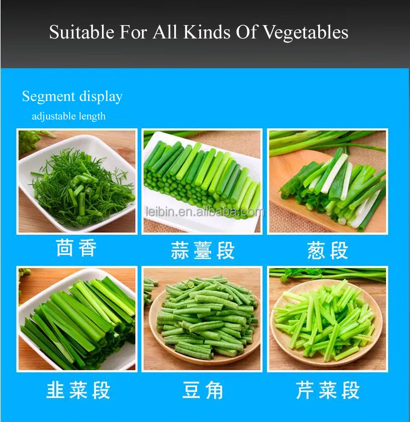 Vegetable Slicing Machine 6