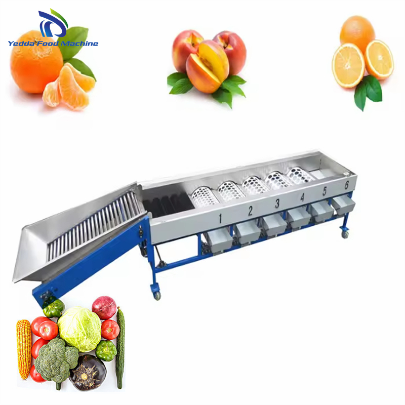 Cutting-Edge Produce Sorting and Packing System