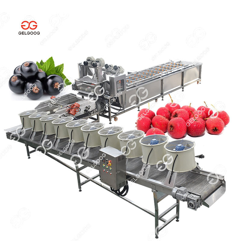IQF Food Frezer Vegetable Cutter Quick Frozen Fruit and Fruit Freezing Line Frozen Vegetable Production Line