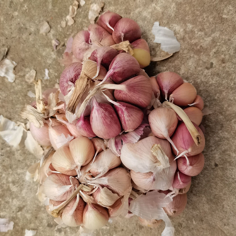 Professional Packing Line Efficient Logistics Ready Normal Pure White/Red Fresh Garlic