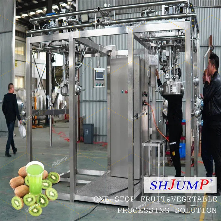 CE ISO Industrial Kiwi Puree Processing Line Washing Sorting Crushing Pulping Enzymolysis Homogenizing Strilizing Packaging System
