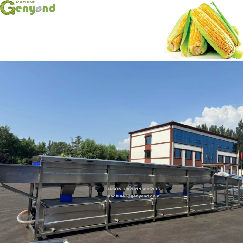 Continuous Fresh Sweet Corn Cooking Machine Sweet Corn Deep Processing Line