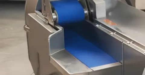 Conveyor Belt