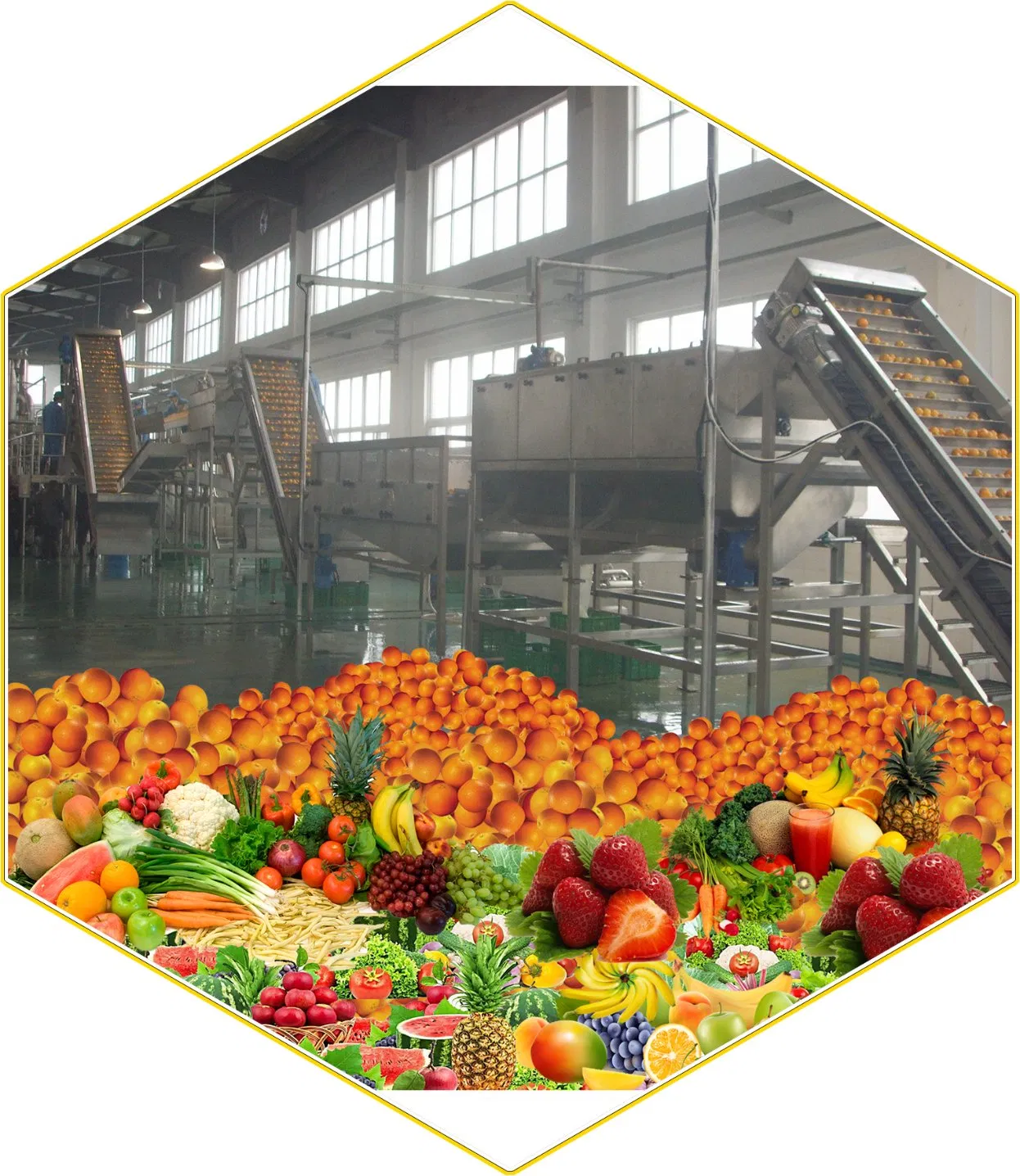 Fruits and Vegetables Conveying System/Chain and Flight Elevator