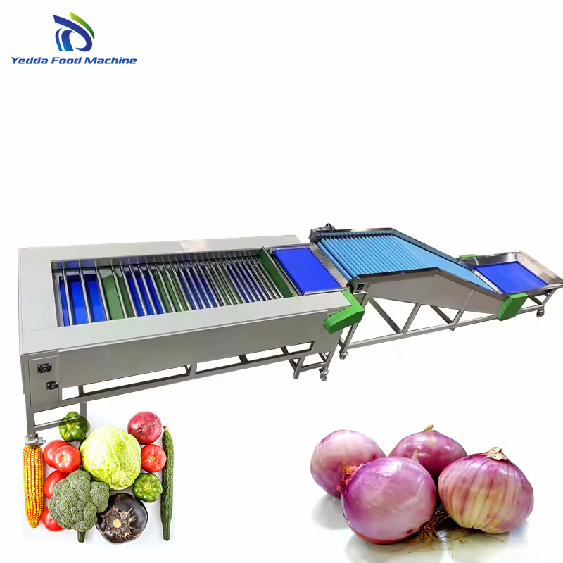Advanced Produce Grading System for Efficient Vegetable Processing