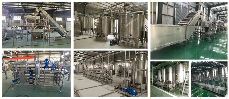 Kiwi Puree Processing System 2