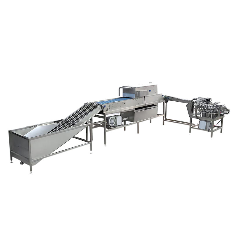 Advanced CIP Cleaning System for Ultimate Hygiene Solutions
