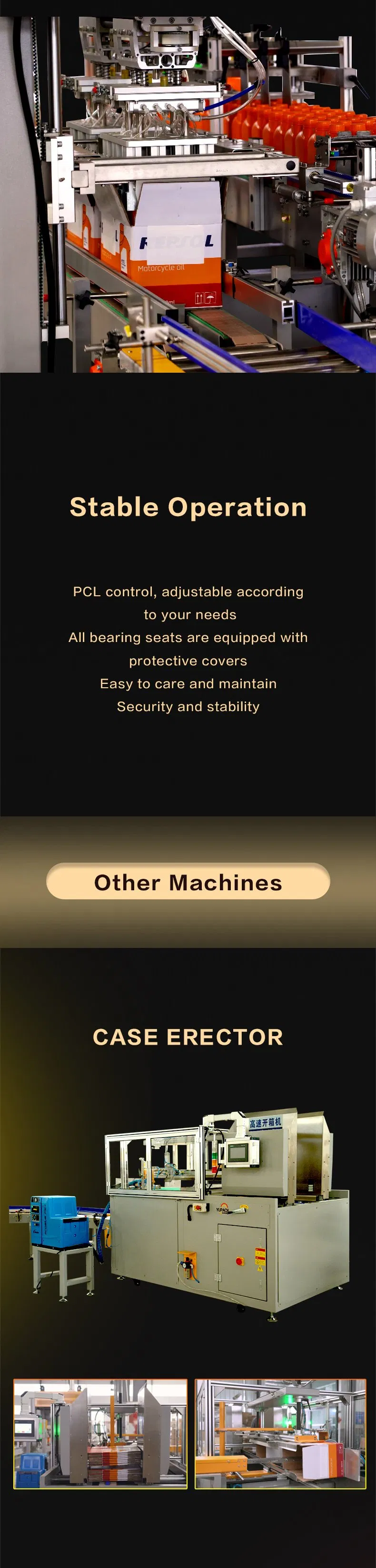 Case Packing System 5