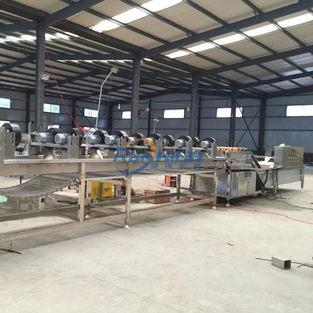 Bag Cleaning and Drying Line Also Used for Fruit and Vegetables