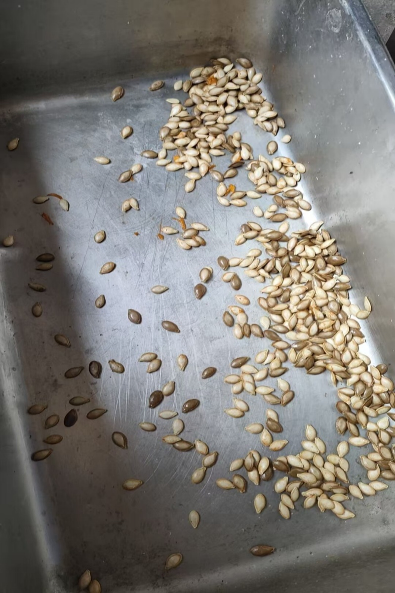 Zummo Commercial Orange Juicer Tomato Pulping Fruit Machine