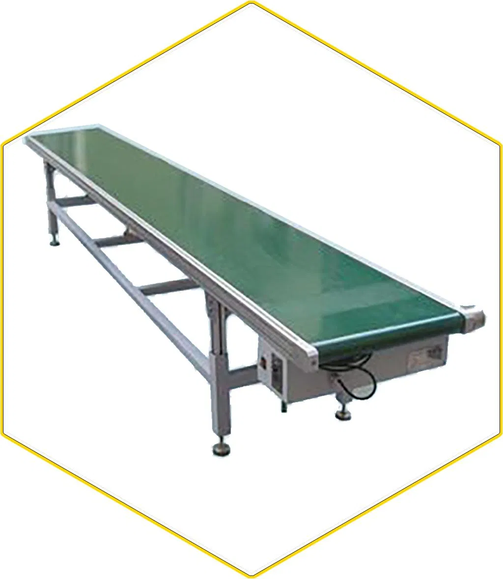 Belt Conveyer/Fruits and Vegetables Conveying System/Chain and Flight Elevator