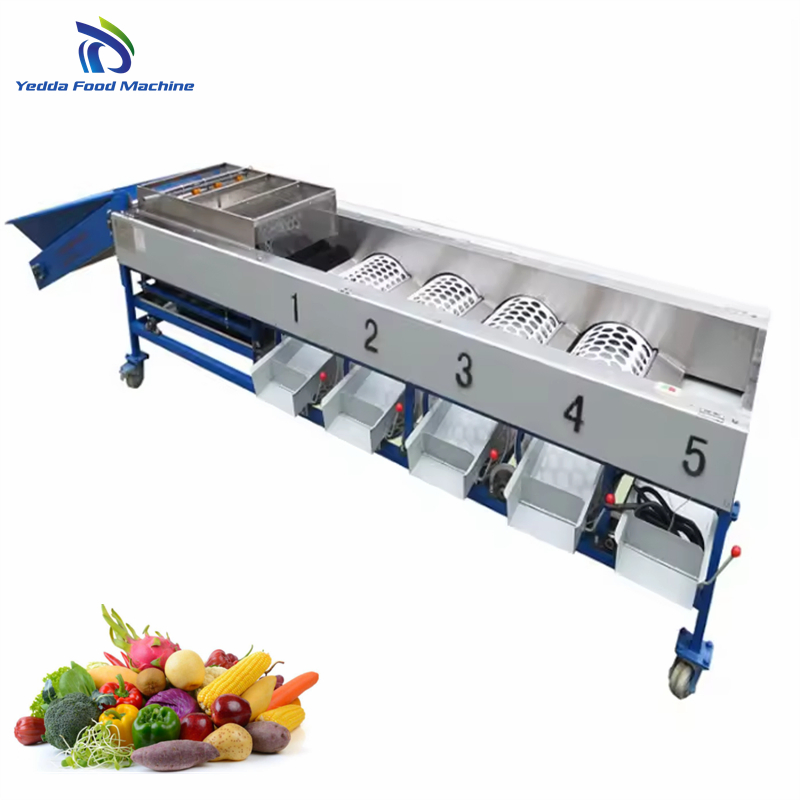 High-Performance Fruit and Vegetable Size Sorting System