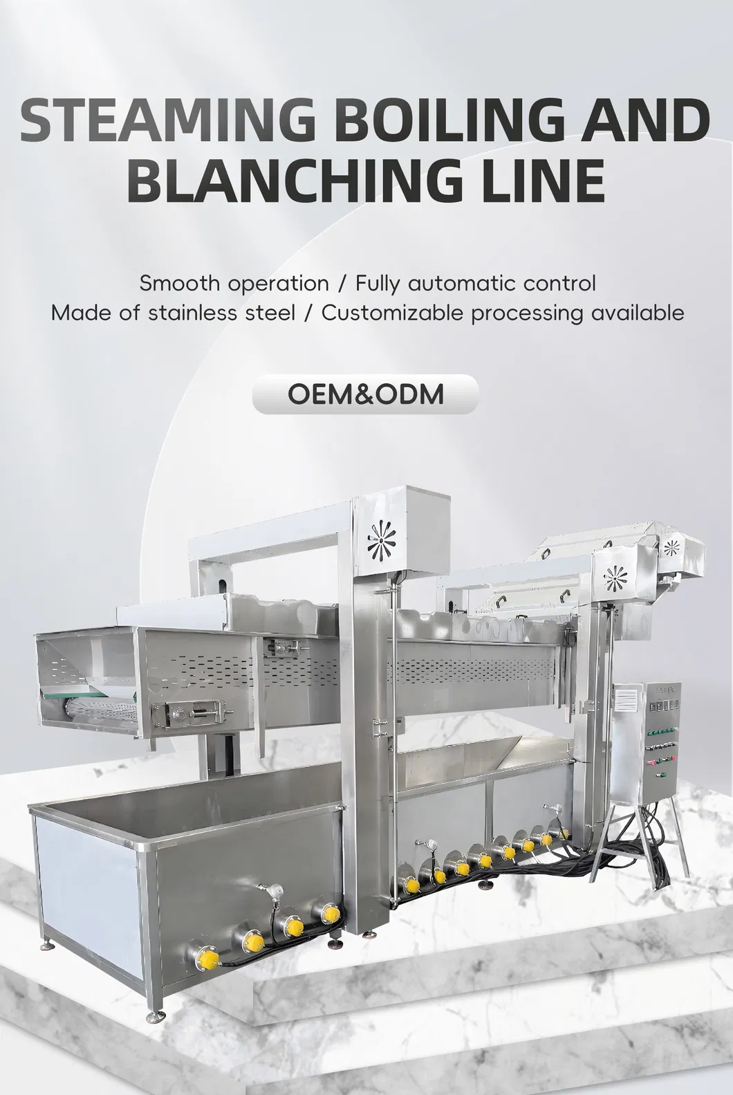 Steaming Boiling and Blanching Line 1