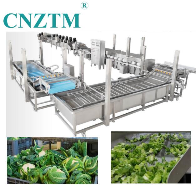 Automatic Vegetable Processing Line Salad Processing Line