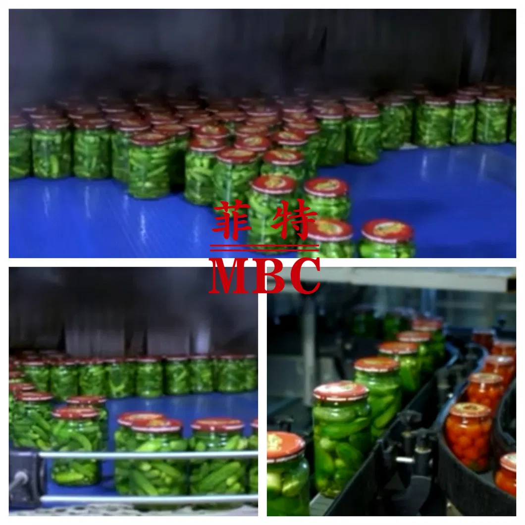 Pasteurization Process 1