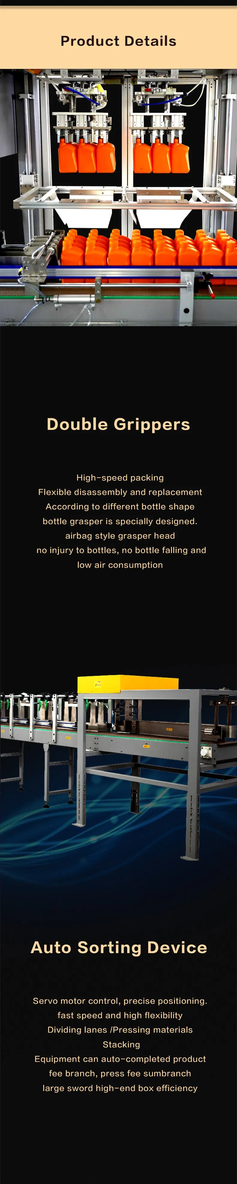 Carton Packer System 4