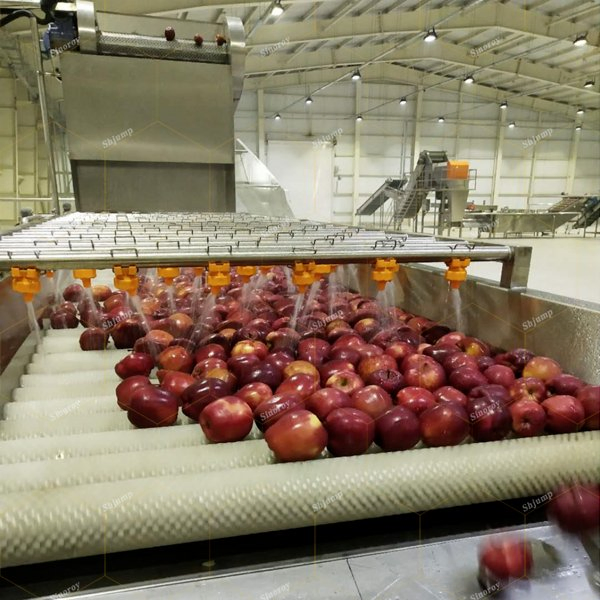 Brush Washer/Fruits and Vegetables Cleaning System