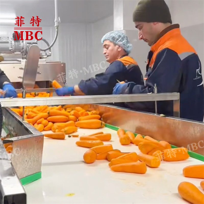 ZHUCHENG MBC &nbsp;Industrial Stainless Steel Potato Carrot Sweet Potato Beet High Cleanliness washing Peeling Equipment
