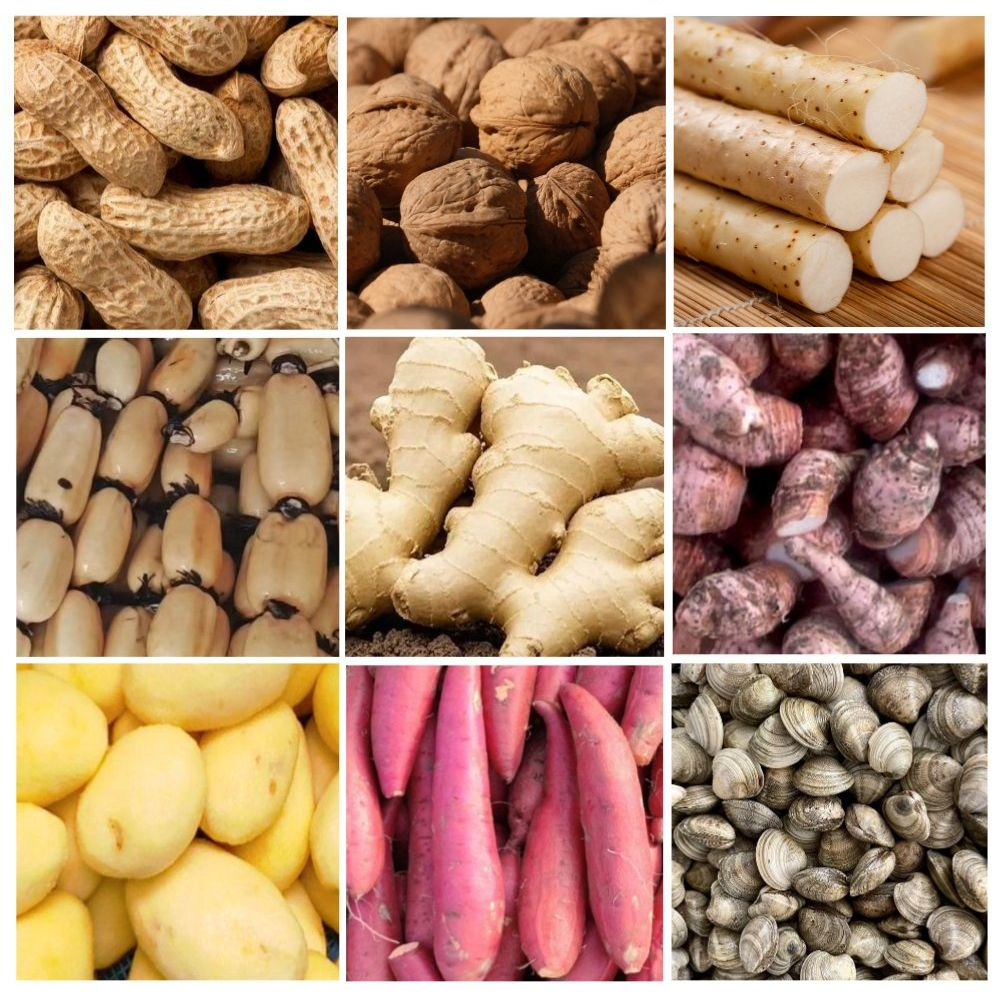 Automatic Industrial Root Vegetable Potato Brush Cleaning Washing and Peeling Equipment