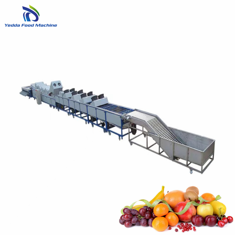 Advanced Automatic Fruit and Vegetable Quality Grading System