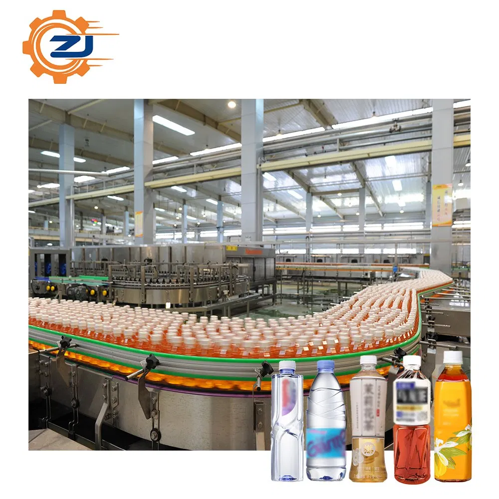 Advanced Fruit and Vegetable Washing and Drying Line System