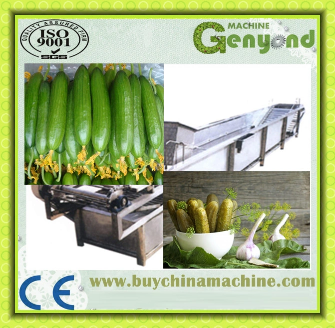 Pickles Production Line Pickled Cucumber Vegetable Processing Plant Making Machine