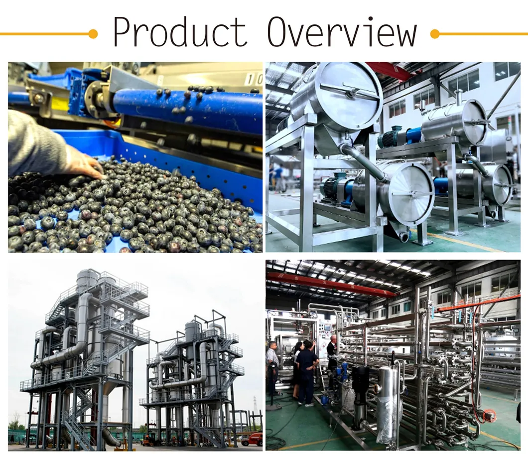 Berry Processing Line 1