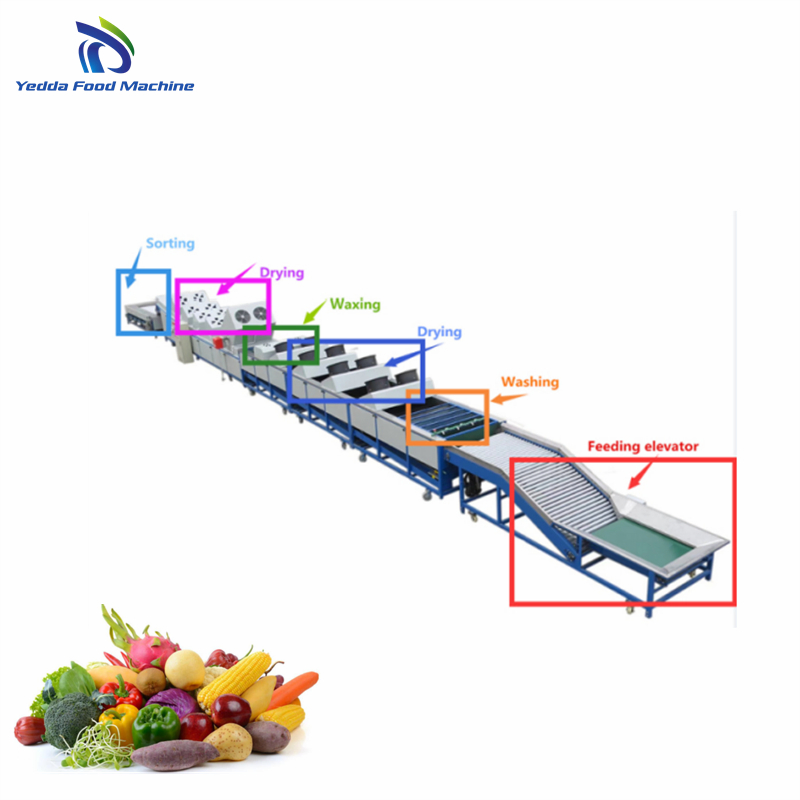 Citrus Quality Assessment Grading System for Optimal Sourcing